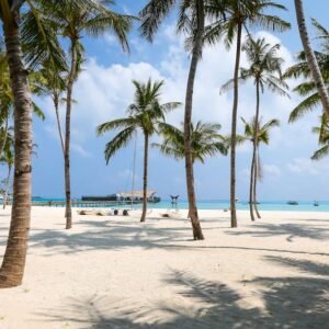 Idyllic tropical beach scene with palm trees and clear blue waters in the Maldives.